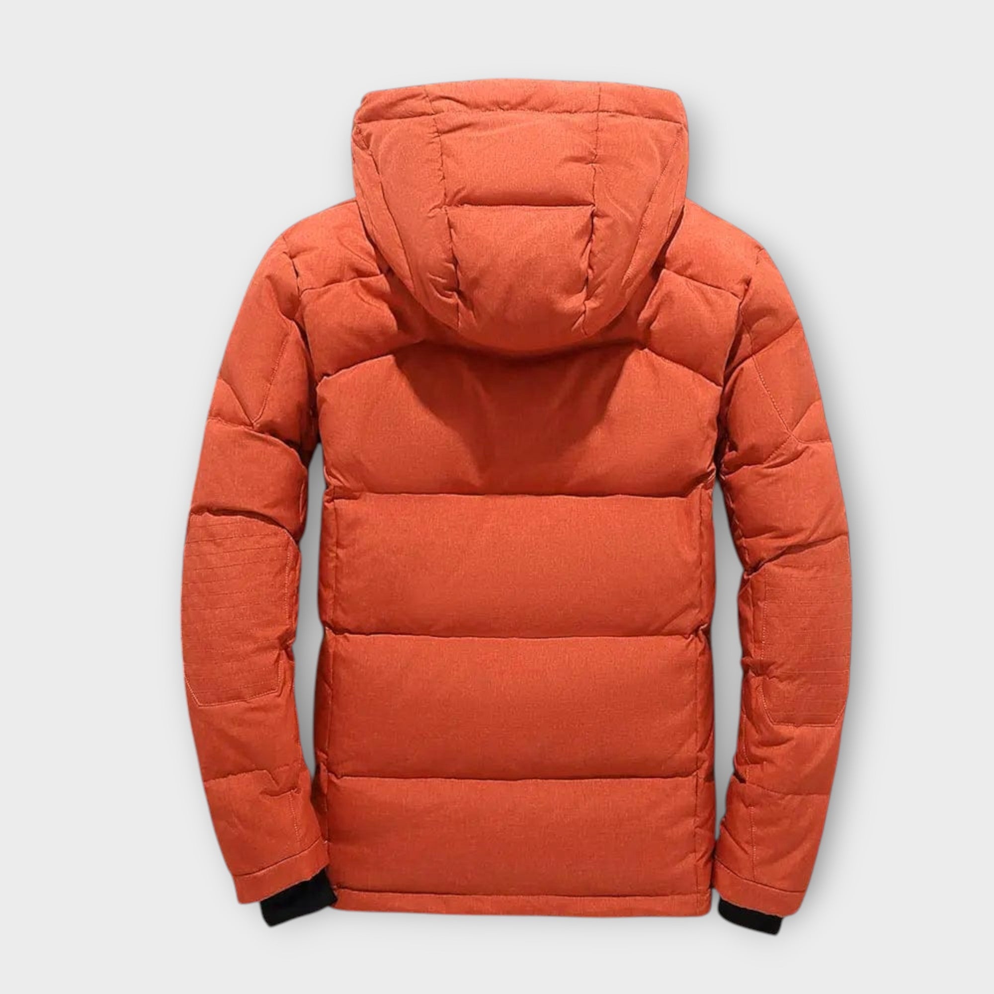 orangeback_c85116b5-3598-4d88-8a87-0494baf2d570.jpg